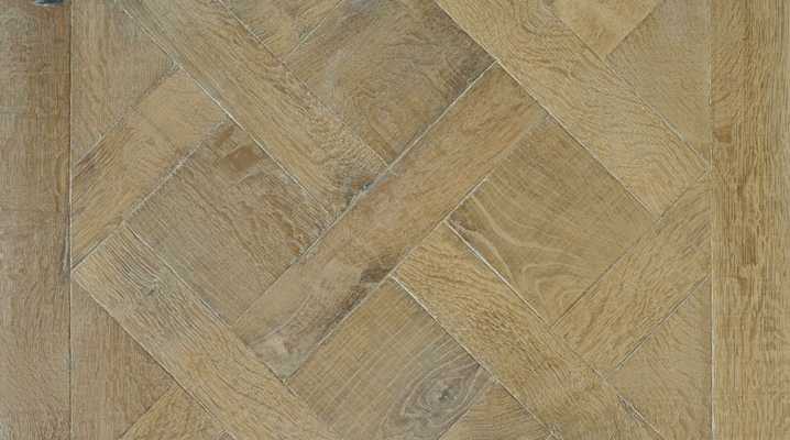 A001 The lunch on the grass